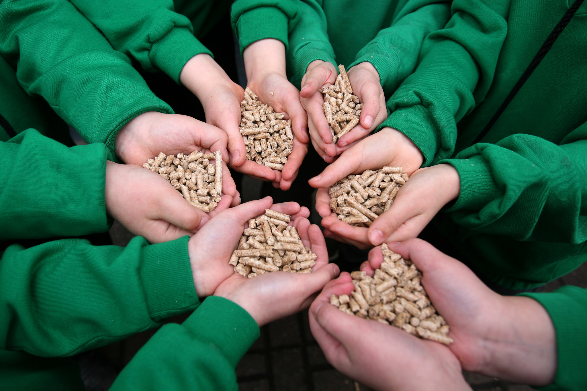 If the EU Burdens Biomass, the Environment Loses