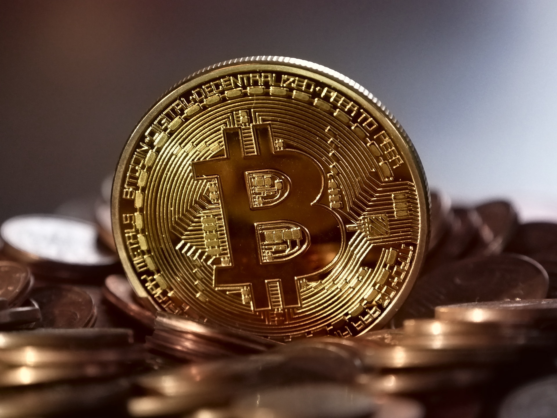 Going Bearish on Bitcoin: Cryptocurrencies are the tulip mania of the 21st century