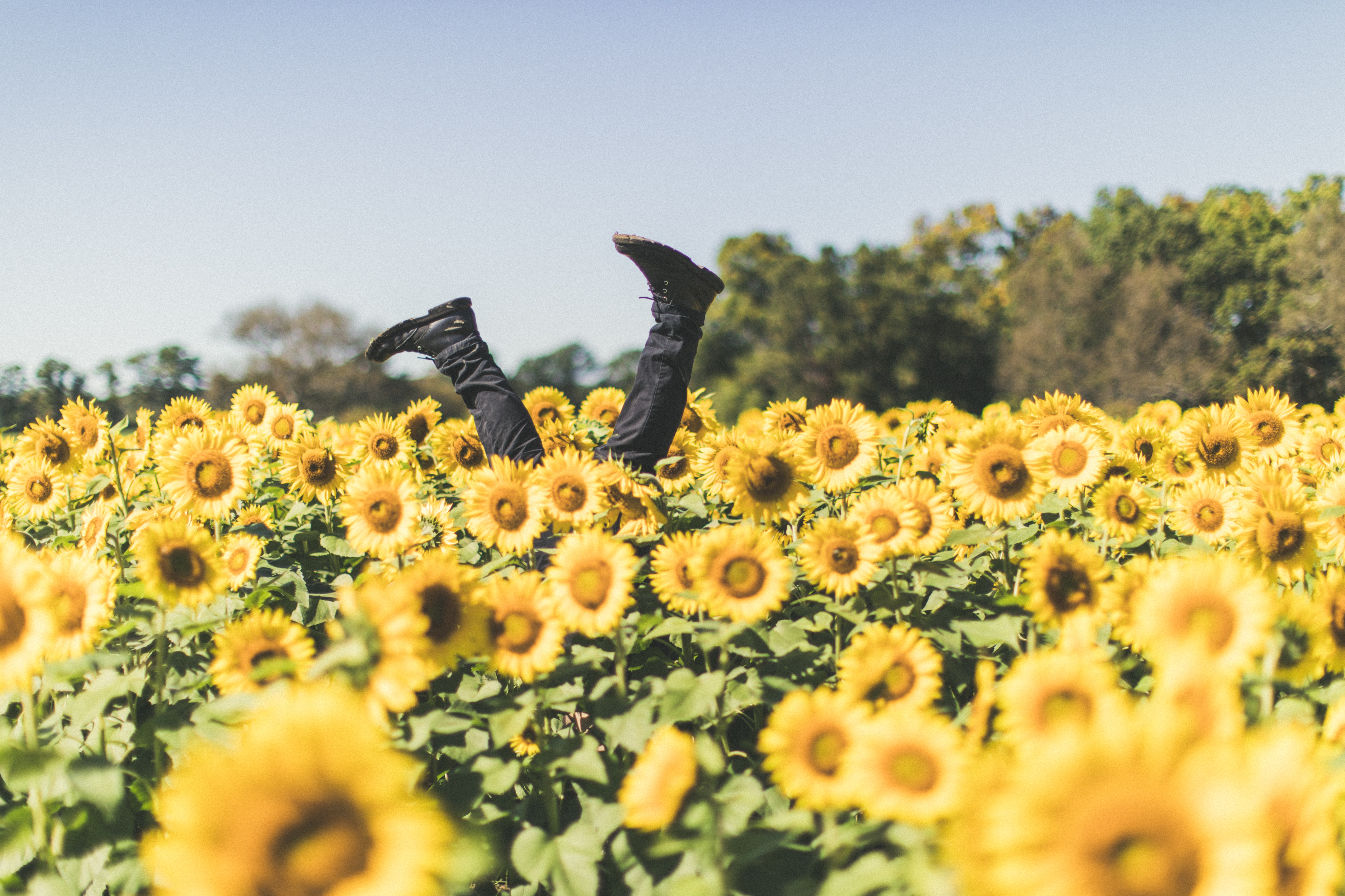 How the Happiness Index is Confusing Us