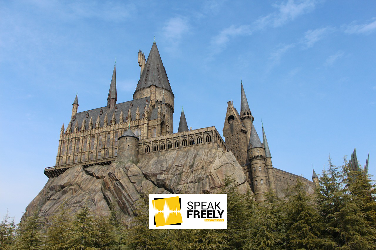 Harry Potter and the Spontaneous Order (Of the Phoenix)