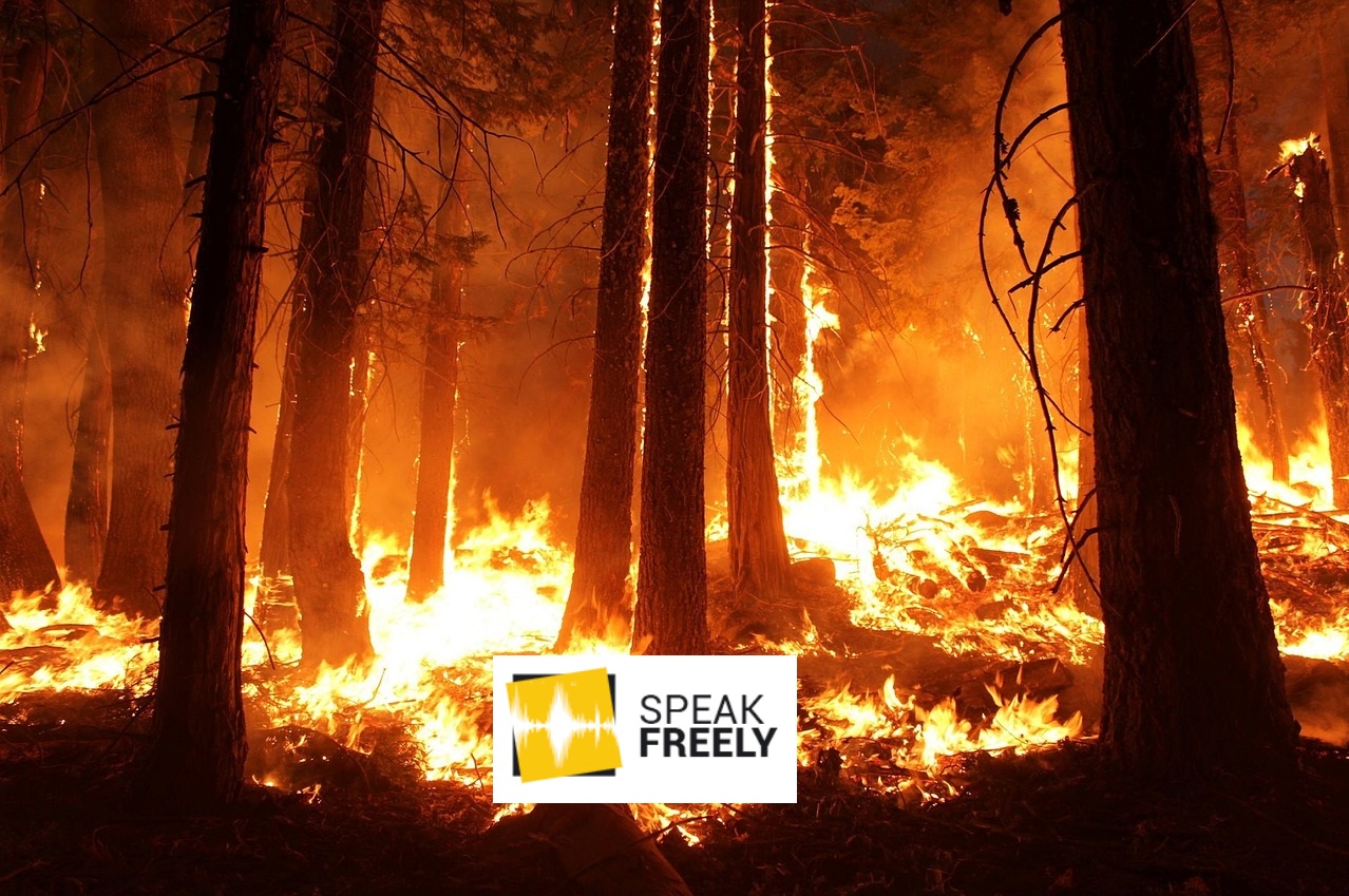 Data on Amazon Rainforest Fires Tell a Much Different Story Than Social Media
