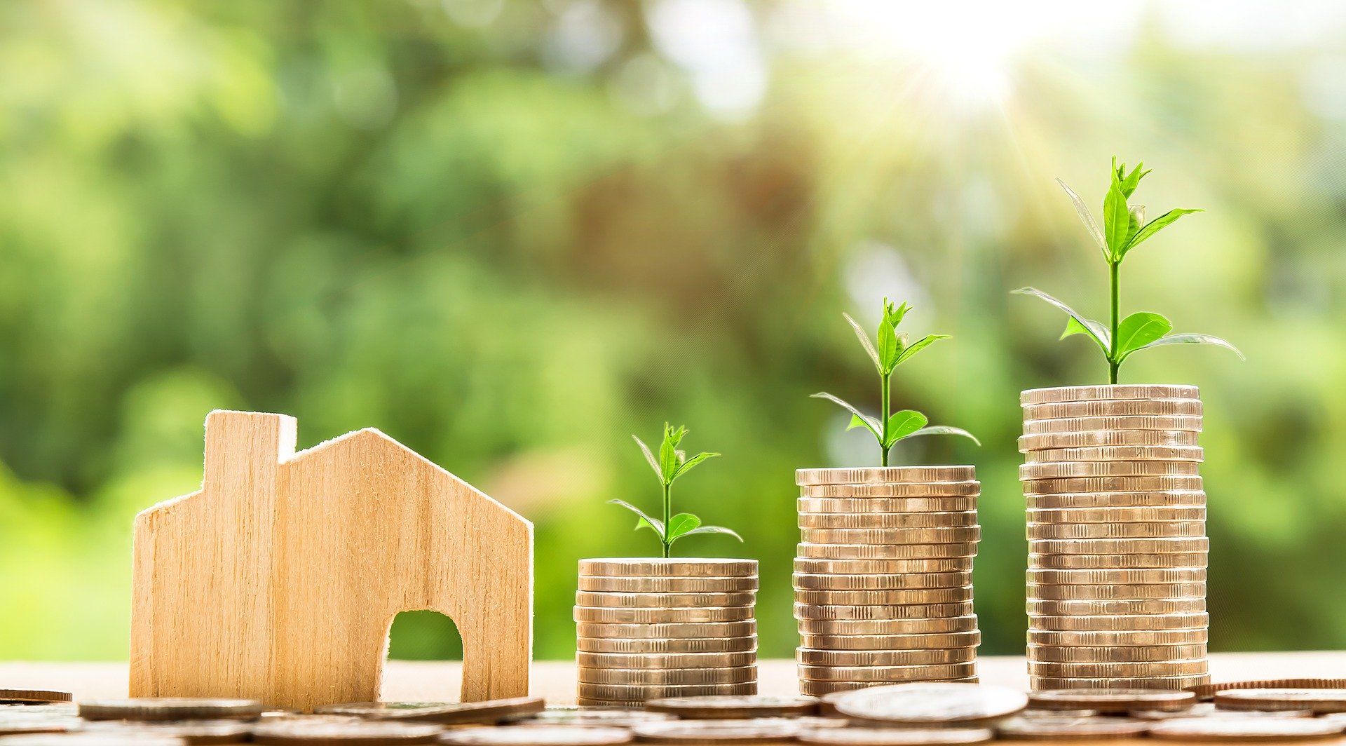 The Story of Economic Growth and the Variables Behind It