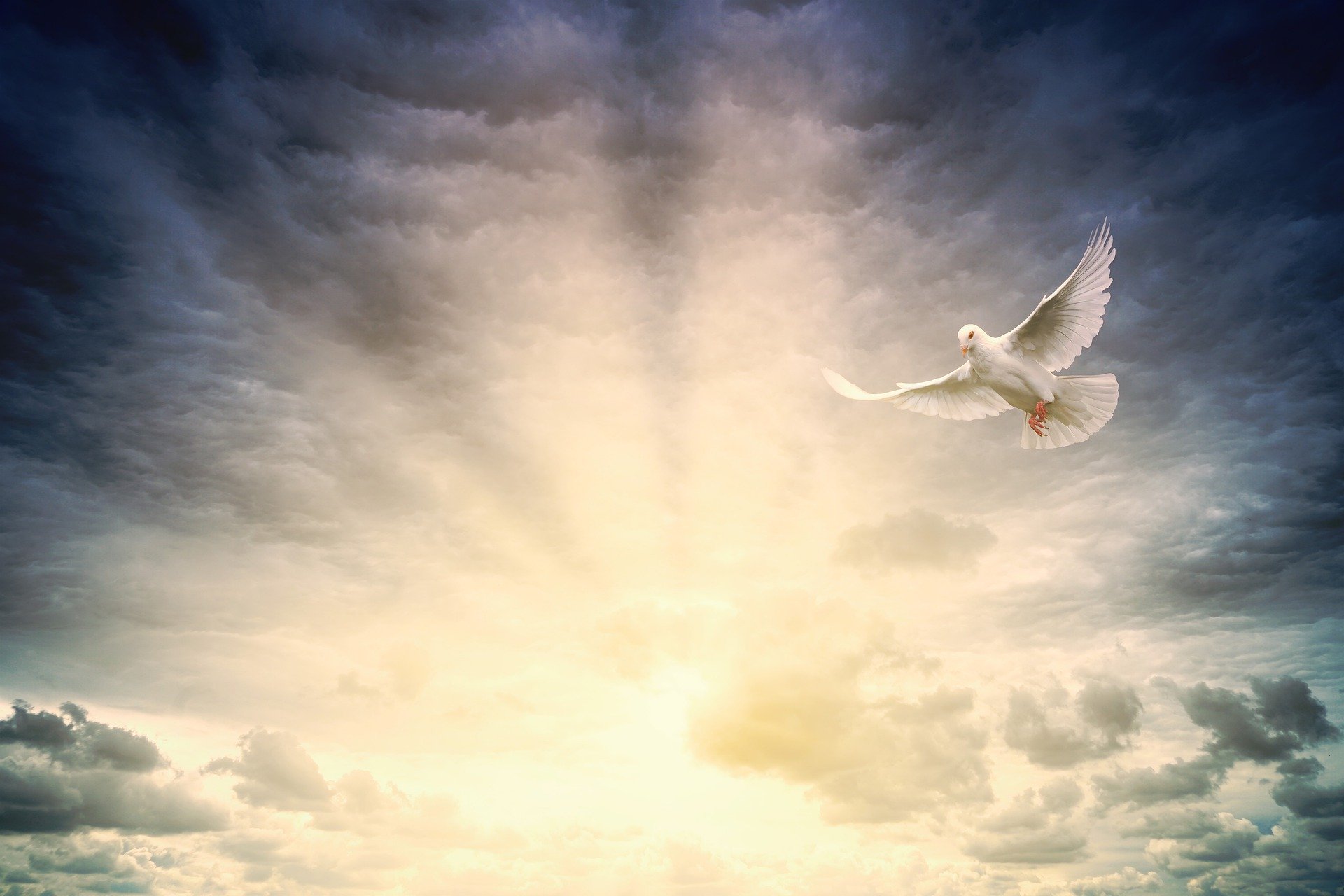 POSITIVE PEACE A STEP FORWARD TO LIBERTY